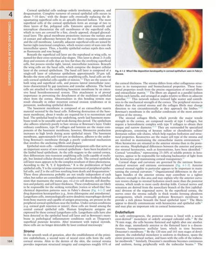 KP Eye: A Complete Guide To Keratopathy Prognosis